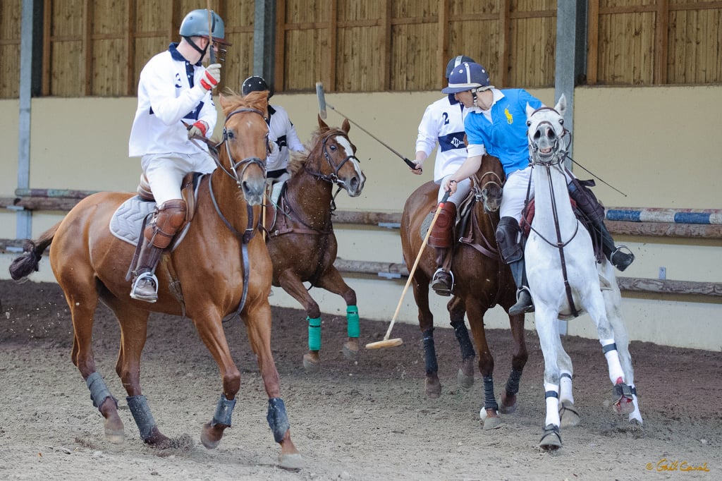 Equestrian Center of Chaville 1
